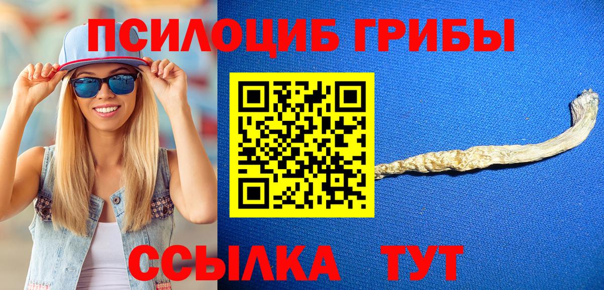 Псилоцибиновые грибы MAGIC MUSHROOMS  Вход с VPN  Дзержинск 